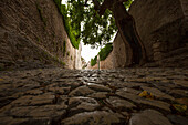 Cobble-stone pavement, Punta San Vigilio, Lake Garda, Verona, Veneto, Italy