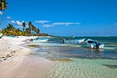 Saona island, Dominican Republic, West Indies, Caribbean