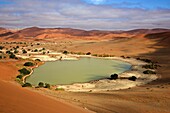 clay pan at Sossusvlei filled with water, Namibia