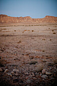 Evening in the desert, Crater rim in the background, Machtesch Ramon, Negev Desert, Israel