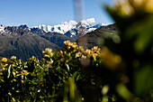 View to Biancograt and Piz Bernina (4048 m), Val d'Es-cha, Upper Engadine, Switzerland