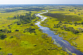 Okavango Delta, Botswana, Africa.