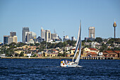 Australia, NSW, New South Wales, Sydney, Harbour, harbor, water, waterfront, homes, houses, Drummoyne, Central Business District, CBD, skyscrapers, city skyline, sailboat, boat, Tower.