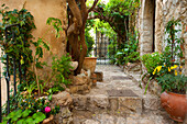 Eze, France, Europe, Côte dAzur, Provence, Alpes_Maritimes, village, house, home, inner courtyard, garden, plants, spring