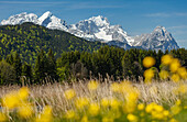Geroldsee, lake near Mittenwald in Spring, Wetterstein mountains in the background, Alpspitze, Zugspitze, Waxenstein, Werdenfelser Land, Baverian Alps, Upper Baveria, Bavaria, Germany, Europe