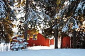 Red wooden barn in winter