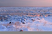 Hudson Bay shoreline in early winter