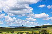 Meadow and distant mountains under a big sky in the Fort Nottingham region of the Midlands, KwaZulu Natal, South Africa
