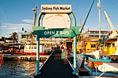 Fish Market piers, Sydney, New South Wales, Australia