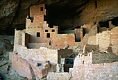 Cliff Palace Anasazi ruins, Mesa Verde National Park, Colorado, USA