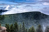 View from Mont Sainte-Odile, Vosges Mountains, Alsace, France
