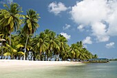 Dubpur Island, San Blas Islands also called Kuna Yala Islands, Panama