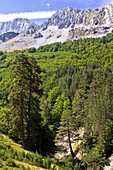 Alano Mountains - Zuriza - Anso Valley - Huesca - Aragon Pyrenees - Spain - Europe