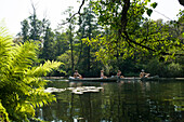 canoeing along the Wakenitz river, along the former German border between East and West, area so called Amazona of the North, Schleswig-Holstein, Germany