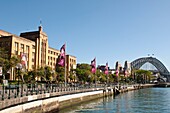 Sydney Museum of Contemporary Art and harbour Bridge, NSW, Australia