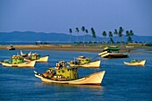 Malaysia Marang fishing boats.