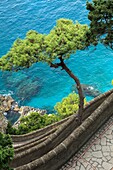 Italy, Campania, Capri, Via Krupp, scenery,