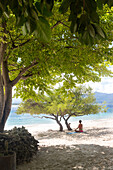 Frau sitzt unter einem niedrigen Baum am Strand, Gili Meno, Lombok, Indonesien