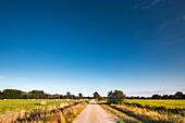 Cycle path near Worpswede, Teufelsmoor, Lower Saxony, Germany