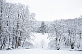 Verschneite Winterlandschaft im Kellerwald bei Dülfershof, Löhlbach, nahe Bad Wildungen, Nordhessen, Hessen, Deutschland, Europa