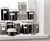 Various jam jars on a shelf, Food