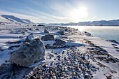 Snowy coast at Spitzbergen, Spitzbergen, Svalbard, Norway