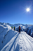 Three persons back-country skiing ascending on snow-ridge, Zillertal Alps in the background, Gammerspitze, valley of Schmirn, Zillertal Alps, Tyrol, Austria