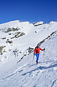 Woman back-country skiing ascending towards Monte Faraut, Monte Faraut, Valle Varaita, Cottian Alps, Piedmont, Italy