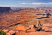 Grand View Point, Green River Overlook, Island In The Sky, Canyonlands National Park, Utah, USA