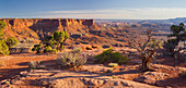 Grand View Point, Island In The Sky, Canyonlands National Park, Utah, USA