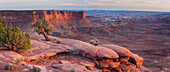 Grand View Point, Island In The Sky, Canyonlands National Park, Utah, USA