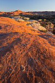 Needles District, Canyonlands National Park, Utah, USA