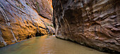 Virgin River, Narrows, Schlucht, Zion National Park, Utah, USA