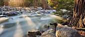 Yosemite Creek, Yosemite National Park, California, United States