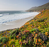 Big Sur, Cabrillo Highway 1, Kalifornien, USA