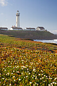 Pigeon Point Lighthouse, Cabrillo Highway 1, California, USA