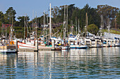Spud Point Marina, Bodega Bay, California, United States