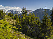 Niedere Tauern, Planai, Krahbergsattel, Steiermark, Österreich