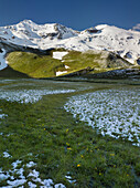 Petersbründl, Glocknergruppe, Nationalpark Hohe Tauern, Salzburg, Österreich