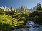 Geißbach, Mieminger Gebirge, Tirol, Österreich