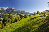 Wilder Kaiser, Scheffau, Tirol, Österreich