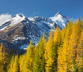 Grossglockner, Heiligenblut, Mölltal, Carinthia, Austria