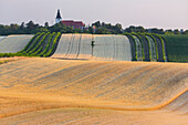Fields at Angern an der March, Marchfeld, Lower Austria, Austria