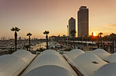 Torre Mapfre and Arts Hotel, Peix, Fish, sculpture by Frank O. Gehry, Port Olimpic, marina, Vila Olimpica, Barcelona, Catalunya, Catalonia, Spain, Europe