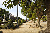 Placa de la Armada, Skulptur Fertilidad von Josep Clara, Hotel Miramar, Jardins de Miramar, trees, lat. Phytolacca dioica,Montjuic, Barcelona, Katalonien, Spanien, Europa