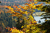 Georgenstein in der Isar, Isartal im Herbst, bei Baierbrunn, Landkreis München, Bayerisches Voralpenland, Oberbayern, Bayern, Deutschland, Europa