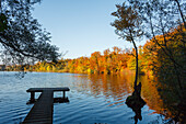 Jetty at Wesslinger See in Autumn, indian summer, lake, Starnberg five lakes region, district Starnberg, Bavarian alpine foreland, Upper Bavaria, Bavaria, Germany, Europe