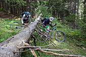 two mountain bikers at a fallen tree, Trentino Italy