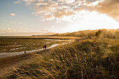 Late afternoon and low tide at Puponga, Farewell Spit, Golden Bay, South Island, New Zealand