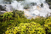 Sinterterrassen von Orakei Korako (Hidden Valey), geothermische Attraktion, Taupo Volcanic Zone, North Island, Neuseeland
